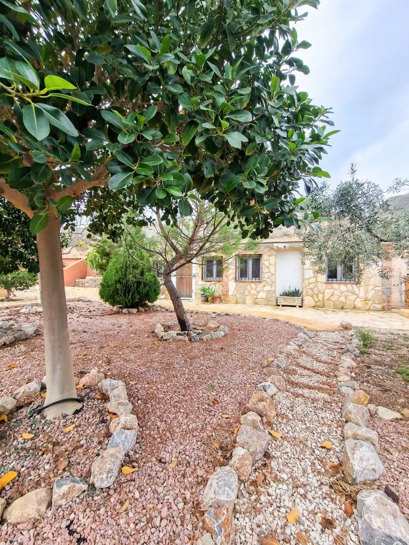 Villa mit Pool zum Verkauf in Crevillent, imagen 30