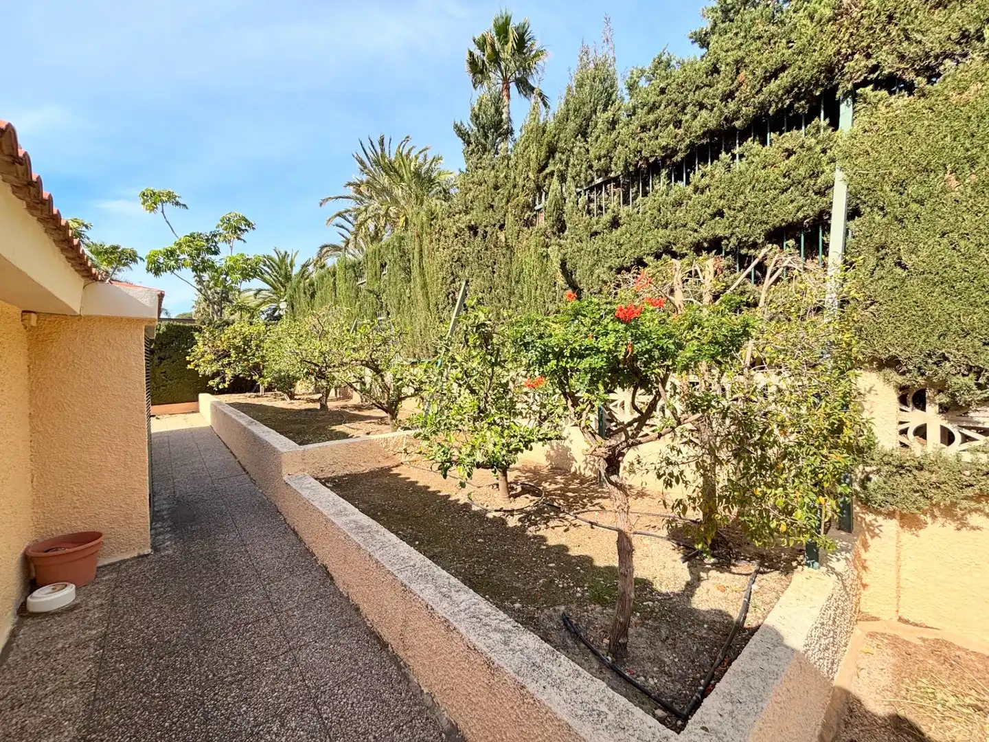 Garten von Haus oder Chalet zum Verkauf in Benidorm mit Klimaanlage, Terrasse und Schwimmbad