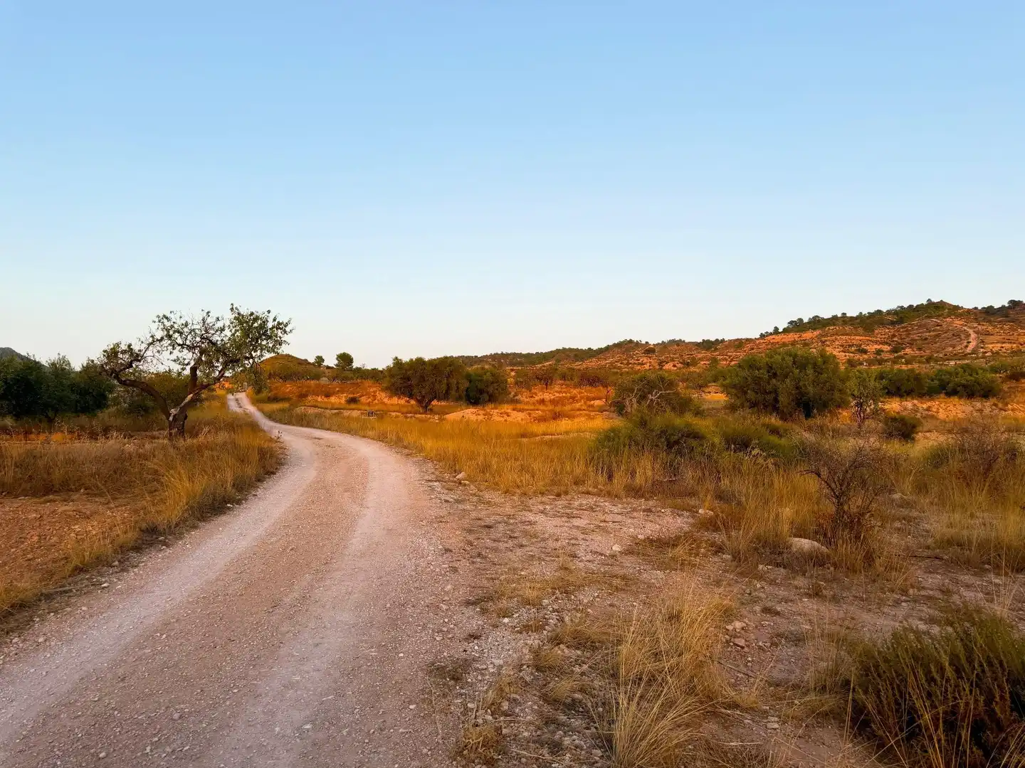 Lands and plots for sale in Abanilla, imagen 9