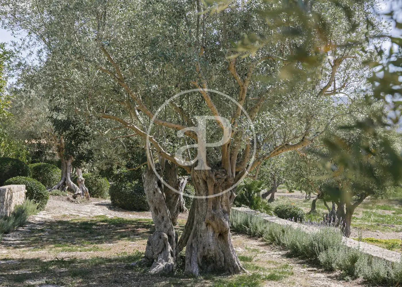 Garden of Houses for rent in Pollença  with Air Conditioner, Heating and Private garden