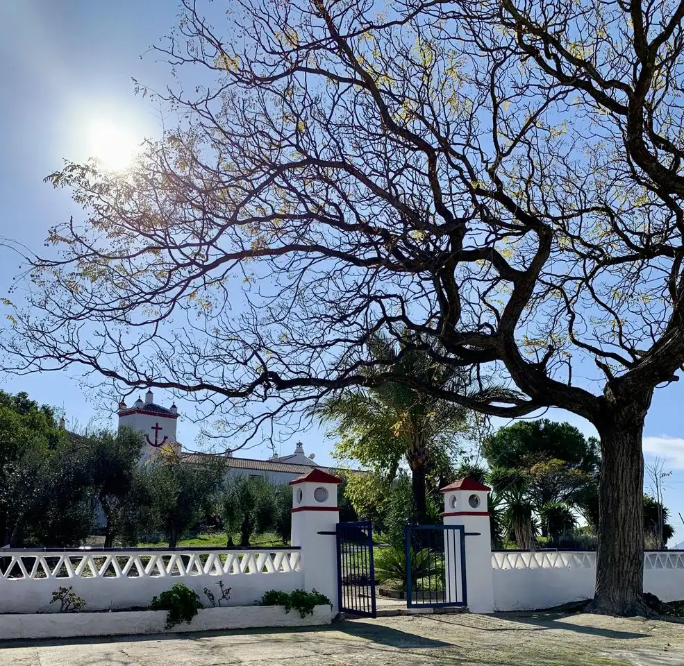 Country house with terrace for sale in Morón de la Frontera, imagen 22