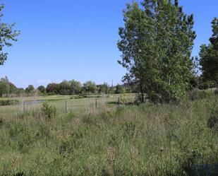 Residencial en venda en Santa Cristina d'Aro