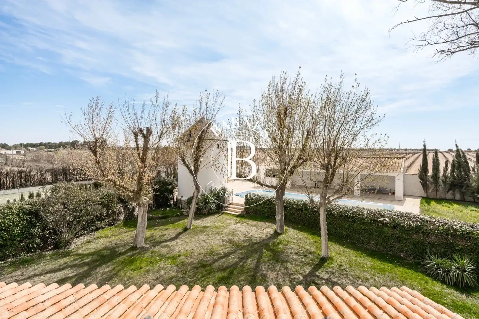 Jardín de Casa o chalet en venta en Alcázar de San Juan con Jardín privado, Piscina y Amueblado