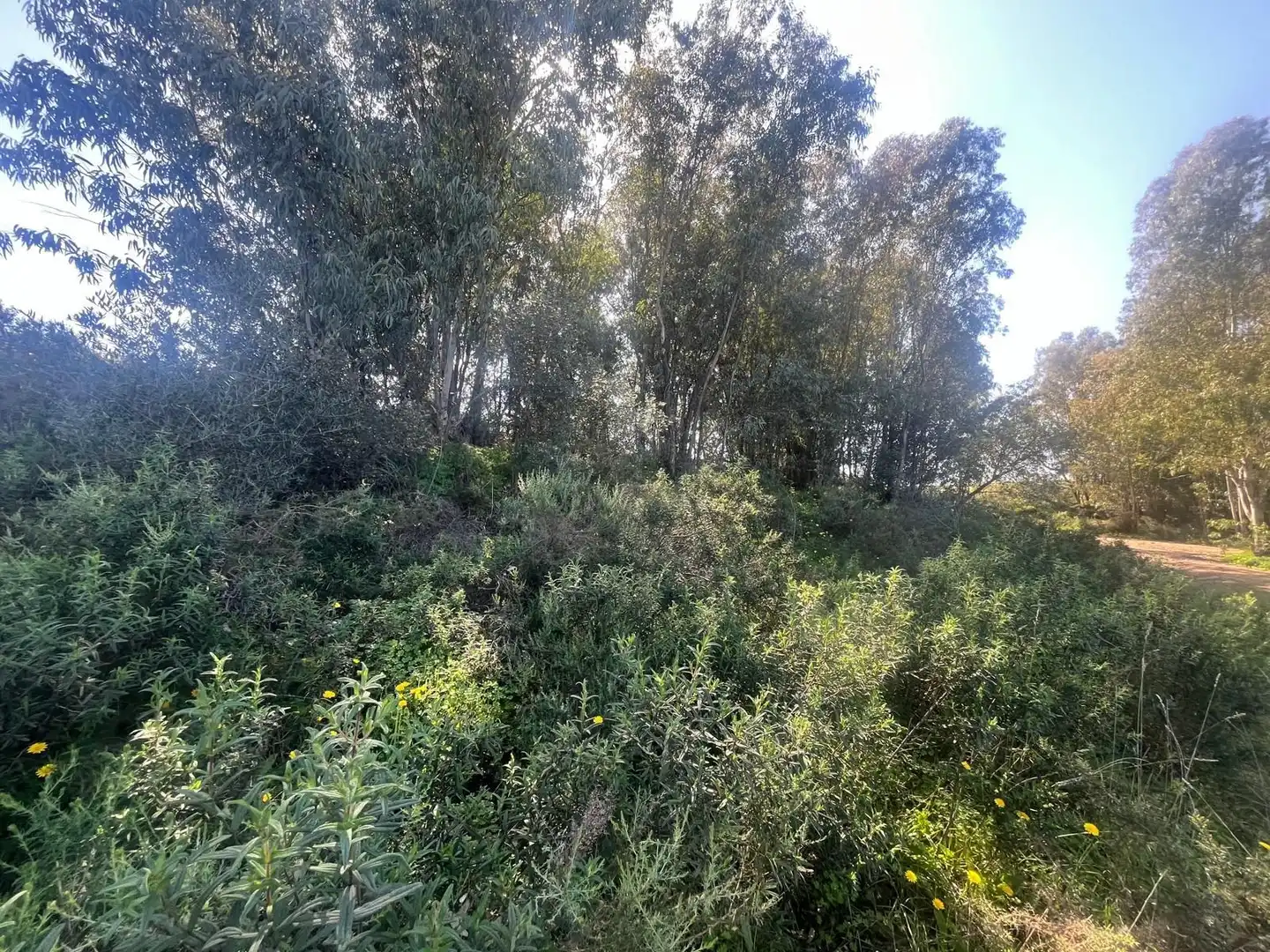 Residencial en venda en Gibraleón