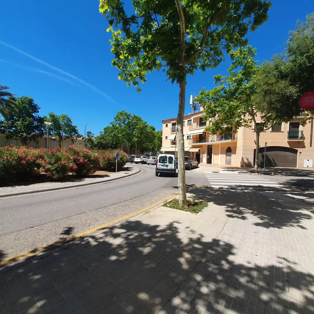 Vista exterior de Local de alquiler en  Palma de Mallorca con Aire acondicionado y Amueblado