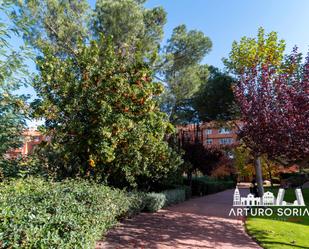 Jardí de Pis de lloguer en  Madrid Capital amb Aire condicionat, Calefacció i Parquet