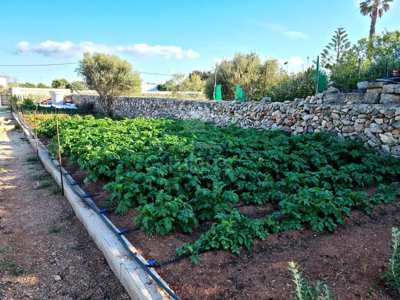 Lands and plots for sale in Ciutadella, imagen 3