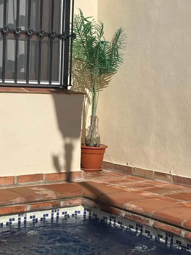 Terraza de Casa adosada en venta en Benahavís con Aire acondicionado, Jardín privado y Terraza