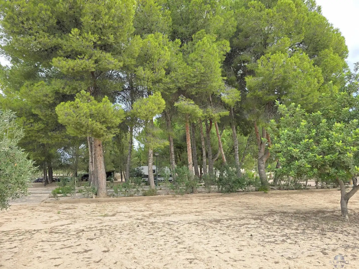 Villa in vendita a Campo Alto - Club de Campo, imagen 20