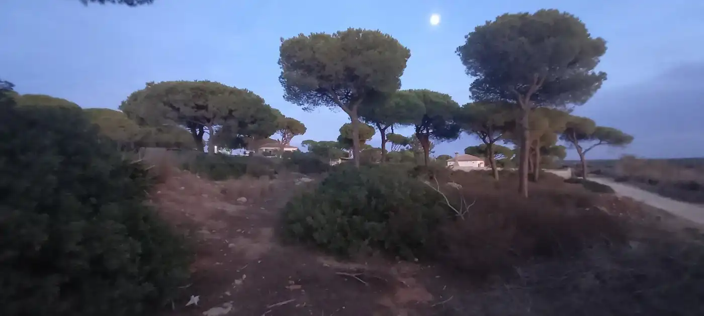 Residential land for sale in Las Lagunas - Campano