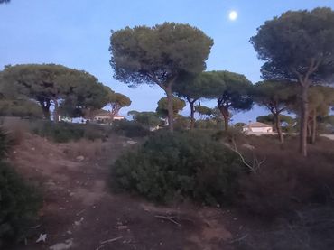 Terreno residenziale in vendita a Las Lagunas - Campano