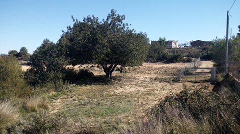 TERRENO RUSTICO SECANO TURIS VALLADO, immagine 3