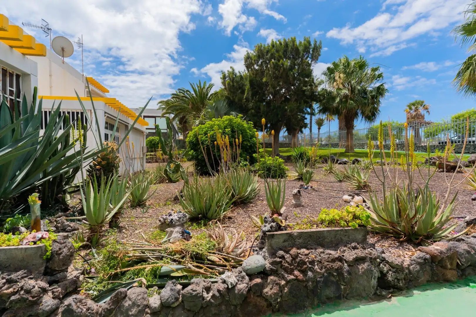 Jardín de Apartamento en venta en Arona con Piscina comunitaria