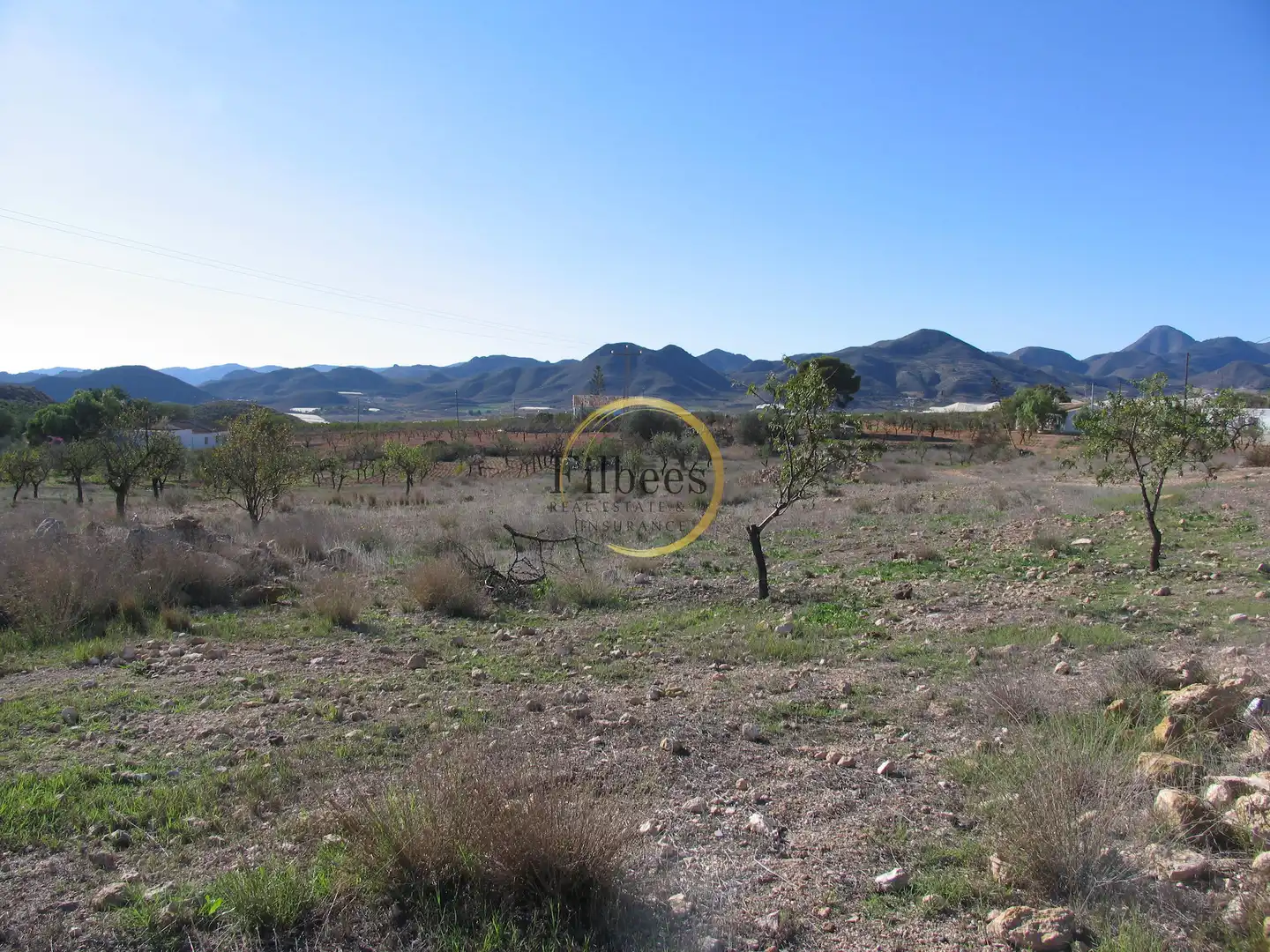 Country homes for sale in Morata