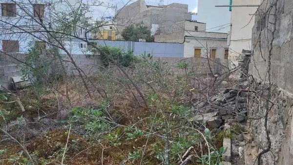 Finca rústica en venta en Arucas