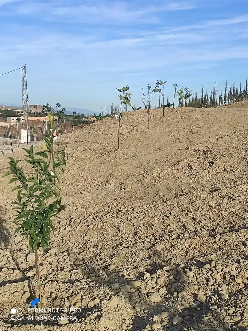 Finca rústica en venda en Benalmádena