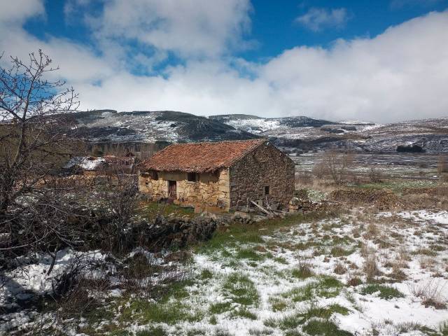 Finca rústica en Venta en Calle Trampalillos, 10 en San Martín de la Vega del Alberche