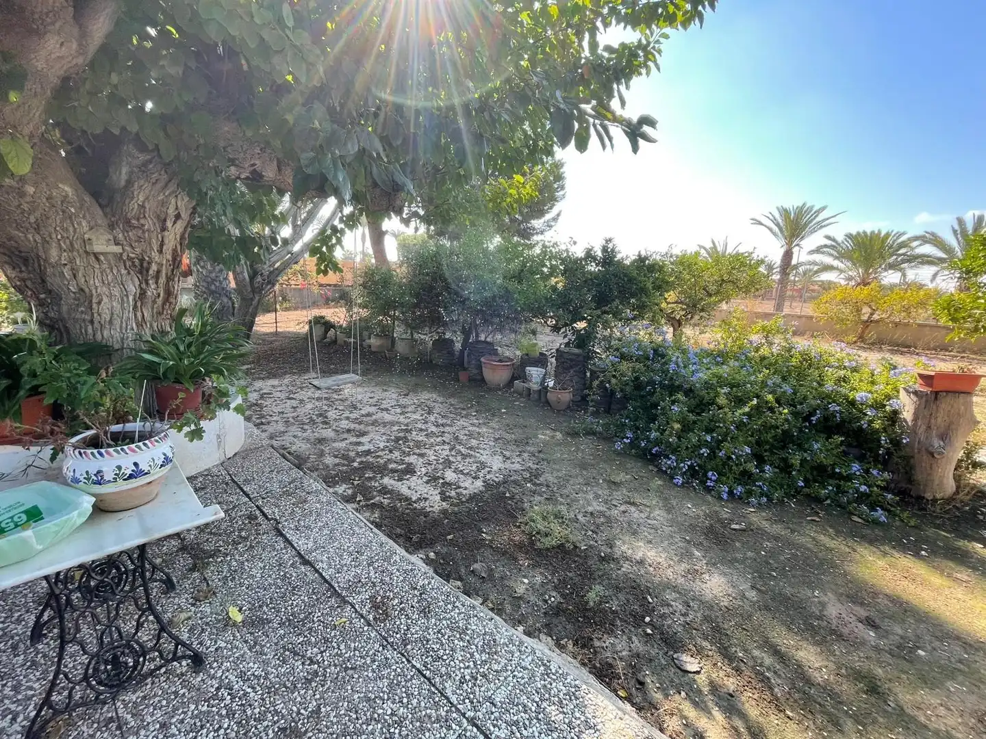 Casa o chalet en venta en La Algoda - Matola - Llano de San José