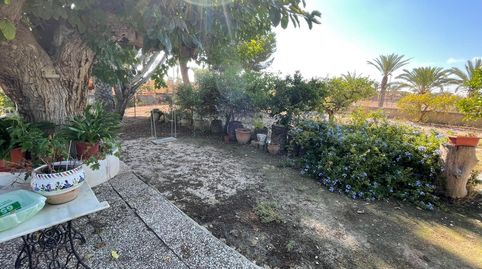Foto 4 de Casa o xalet en venda a La Algoda - Matola - Llano de San José, Elche / Elx