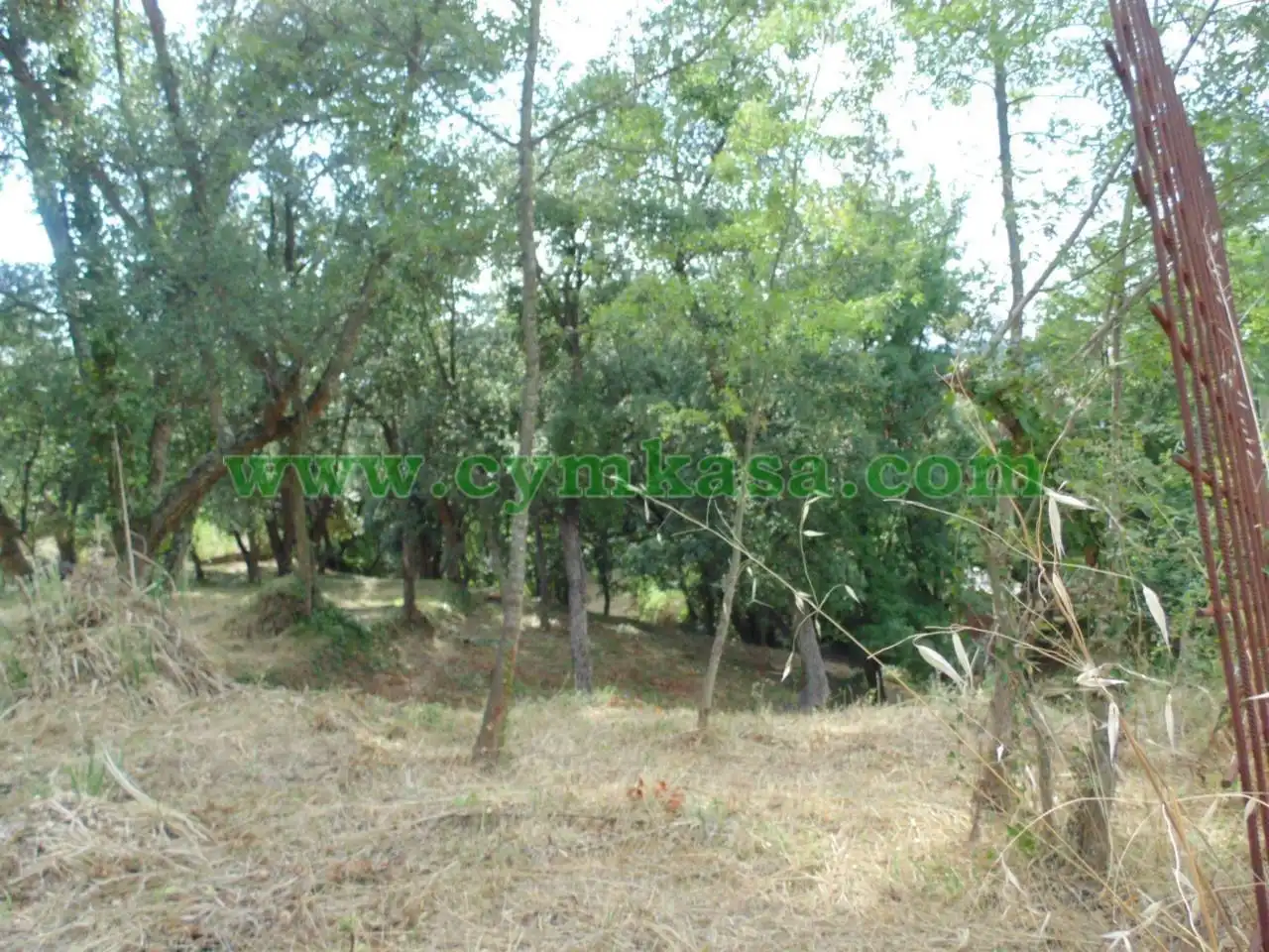 Terreno rustico in vendita a Terrabrava - Tordera Parc, imagen 8