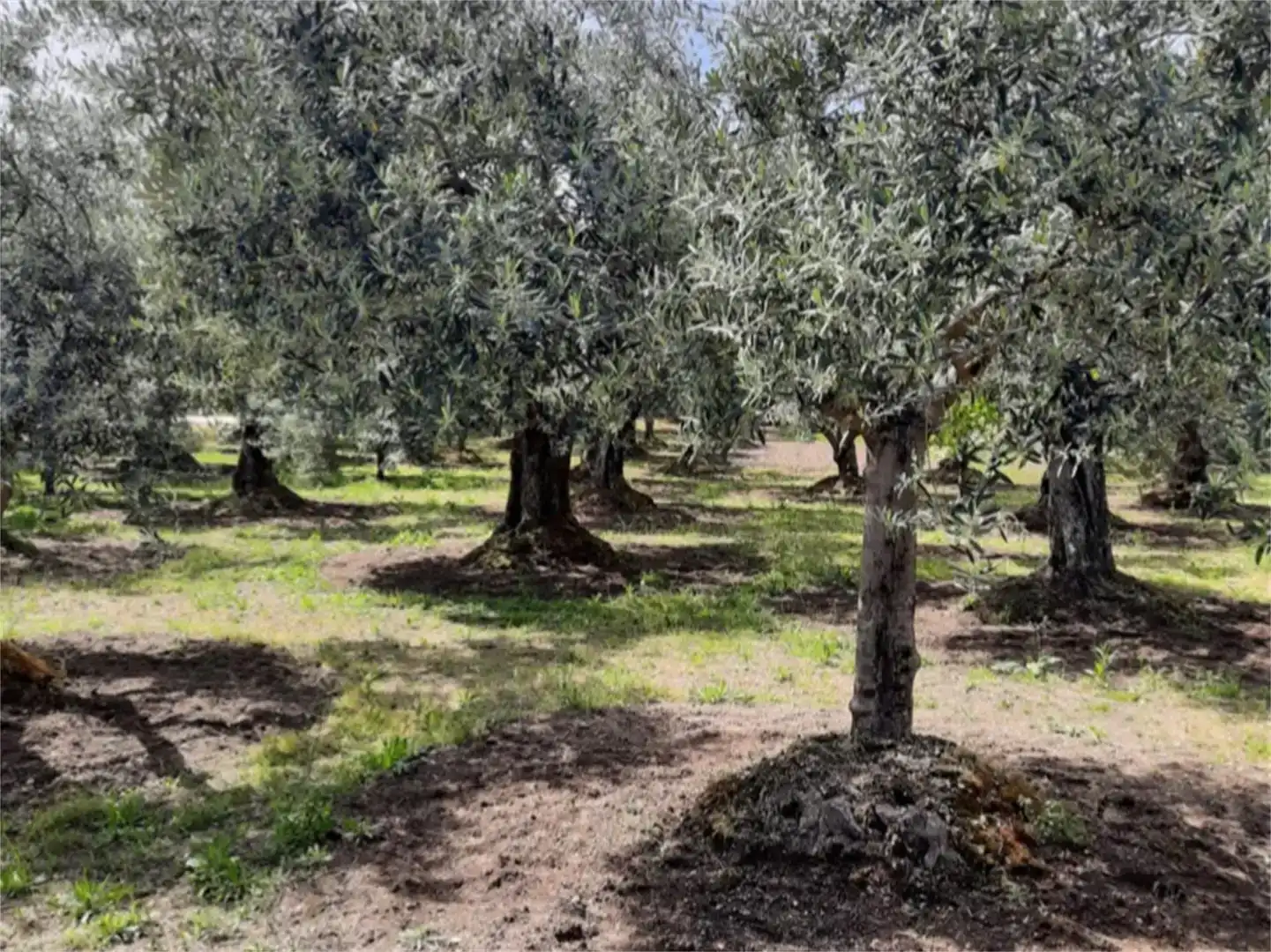 Piso en venta en Losar de la Vera con Aire acondicionado, Amueblado y Horno