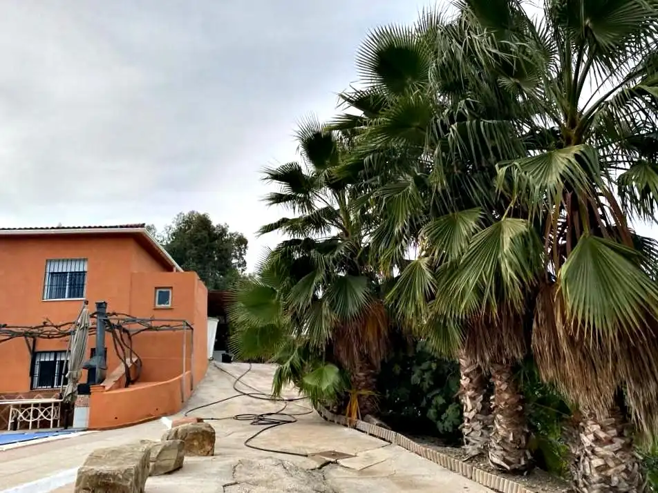 Vista exterior de Finca rústica en venda en Cártama amb Calefacció, Jardí privat i Terrassa