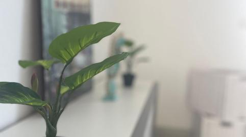 Photo 5 of Apartment for sale in Islantilla Golf, Huelva