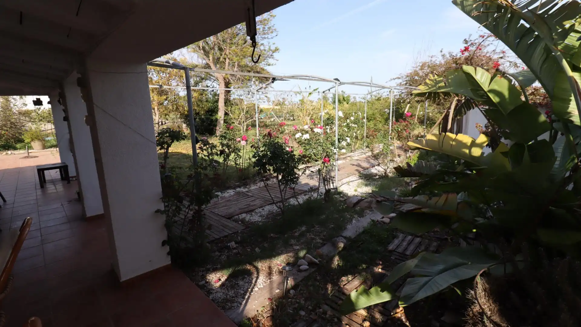 Jardí de Finca rústica en venda en Alcanar amb Jardí privat i Piscina comunitària