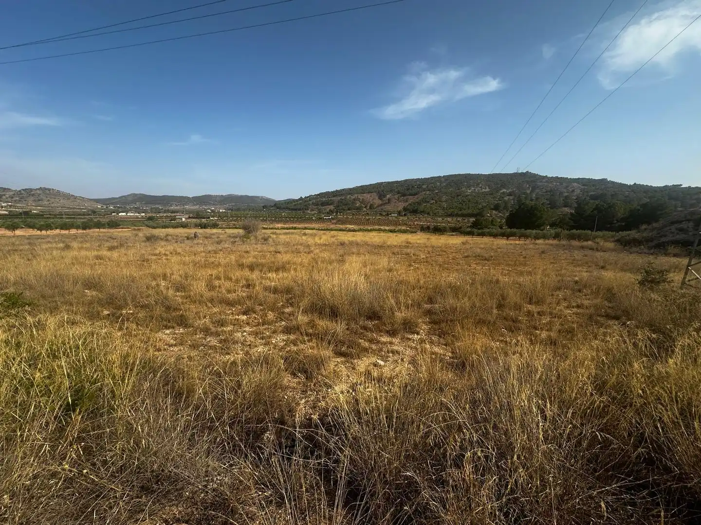 Terreny residencial en venda a El Pinós / Pinoso, imagen 4