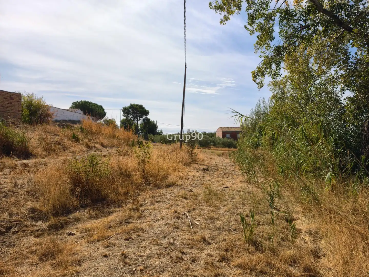 Terreno rústico en venta en Alpicat, imagen 15