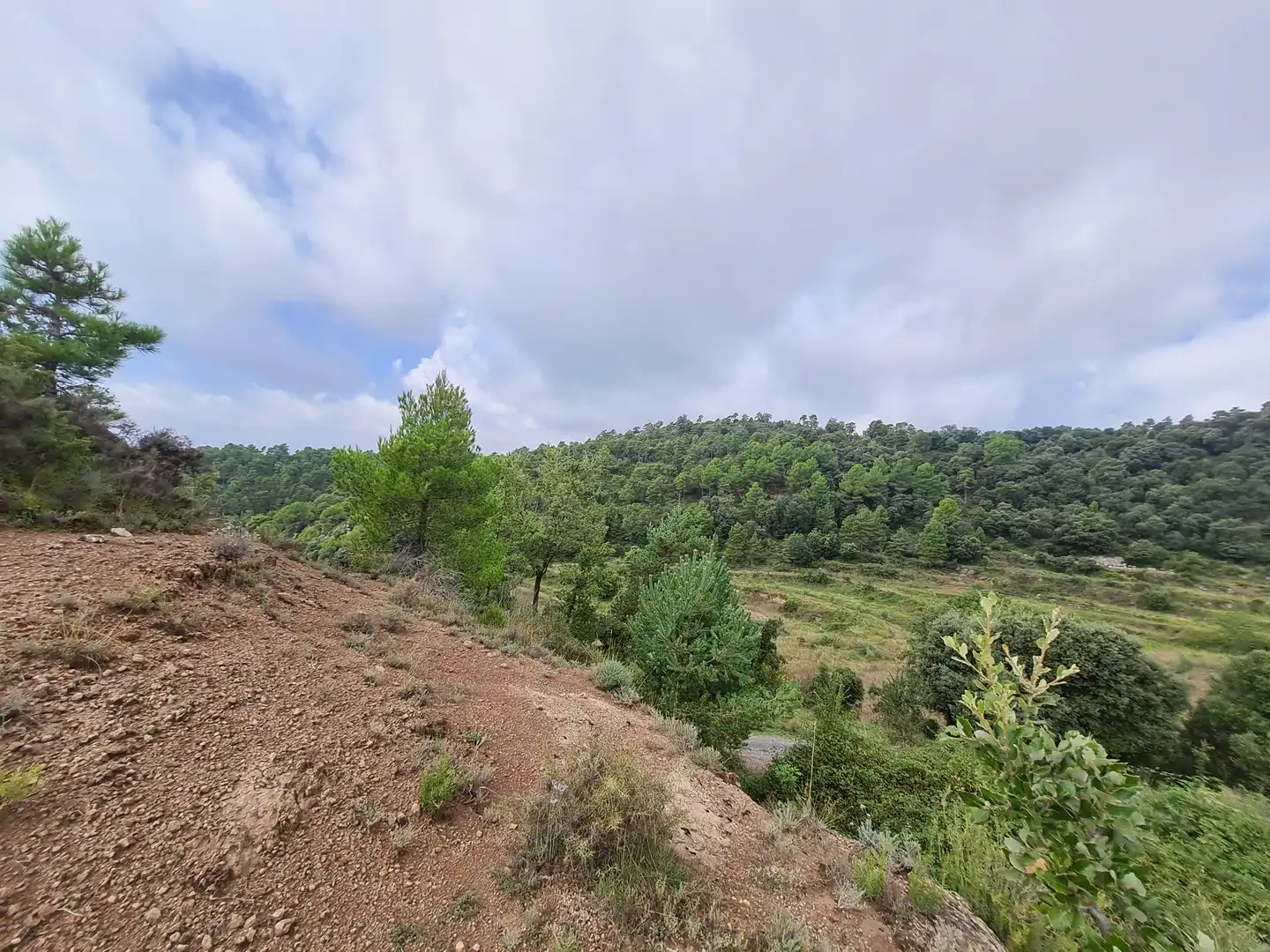 Country homes for sale in Olvan
