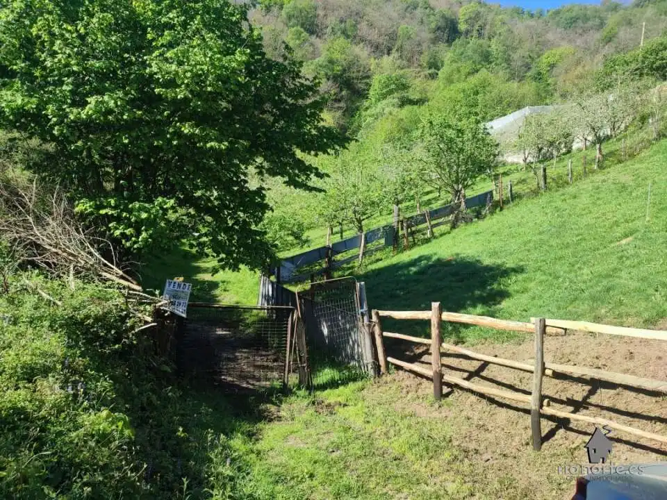 Terreno rustico in vendita a San Martín del Rey Aurelio, imagen 6
