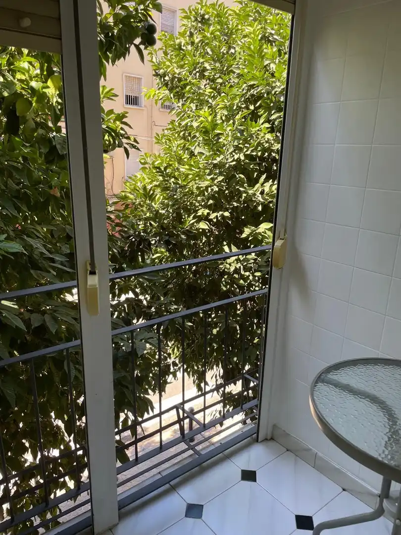 Terraza de Piso de alquiler en Sevilla