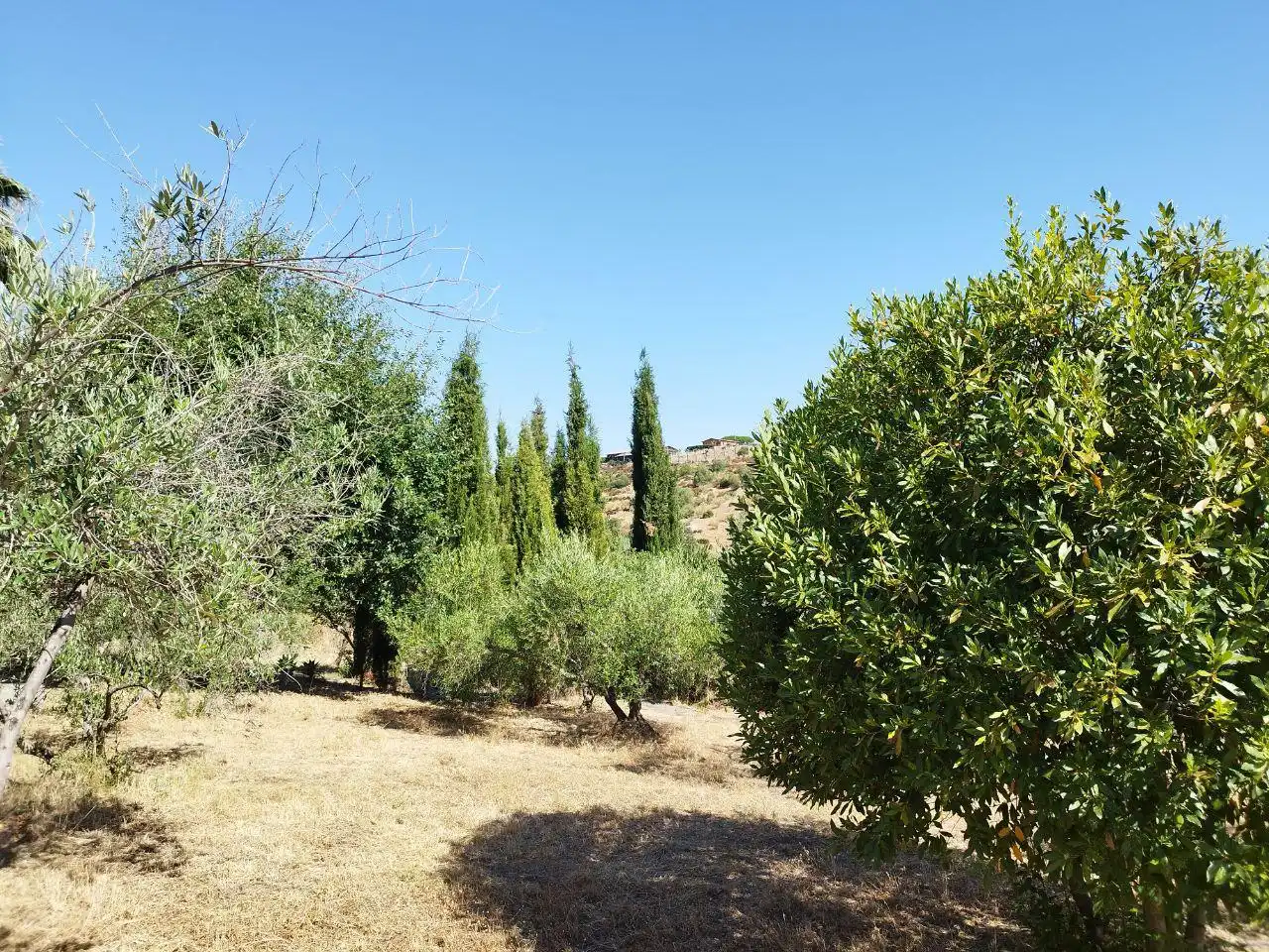 Detached house with garden for sale in El Castillo de las Guardas, imagen 28