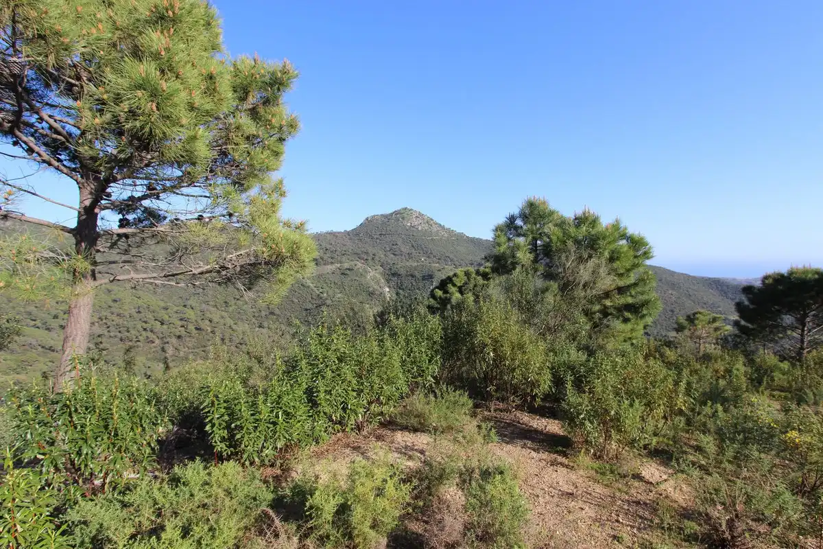 Terrenys i solars en venda a Montemayor - Marbella Club, imagen 13