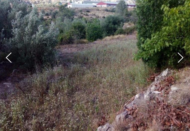 Land for sale in Terrateig