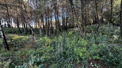 Foto 4 de Residencial en venta en Carrer Sant Sever, Olesa de Bonesvalls, Barcelona