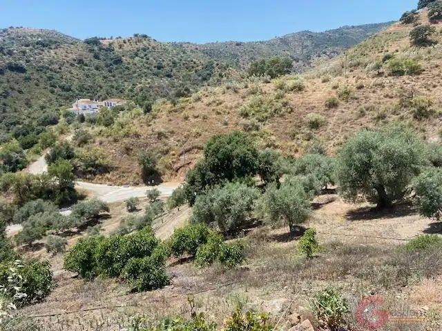 Casa rústica en venda a Comares, imagen 22