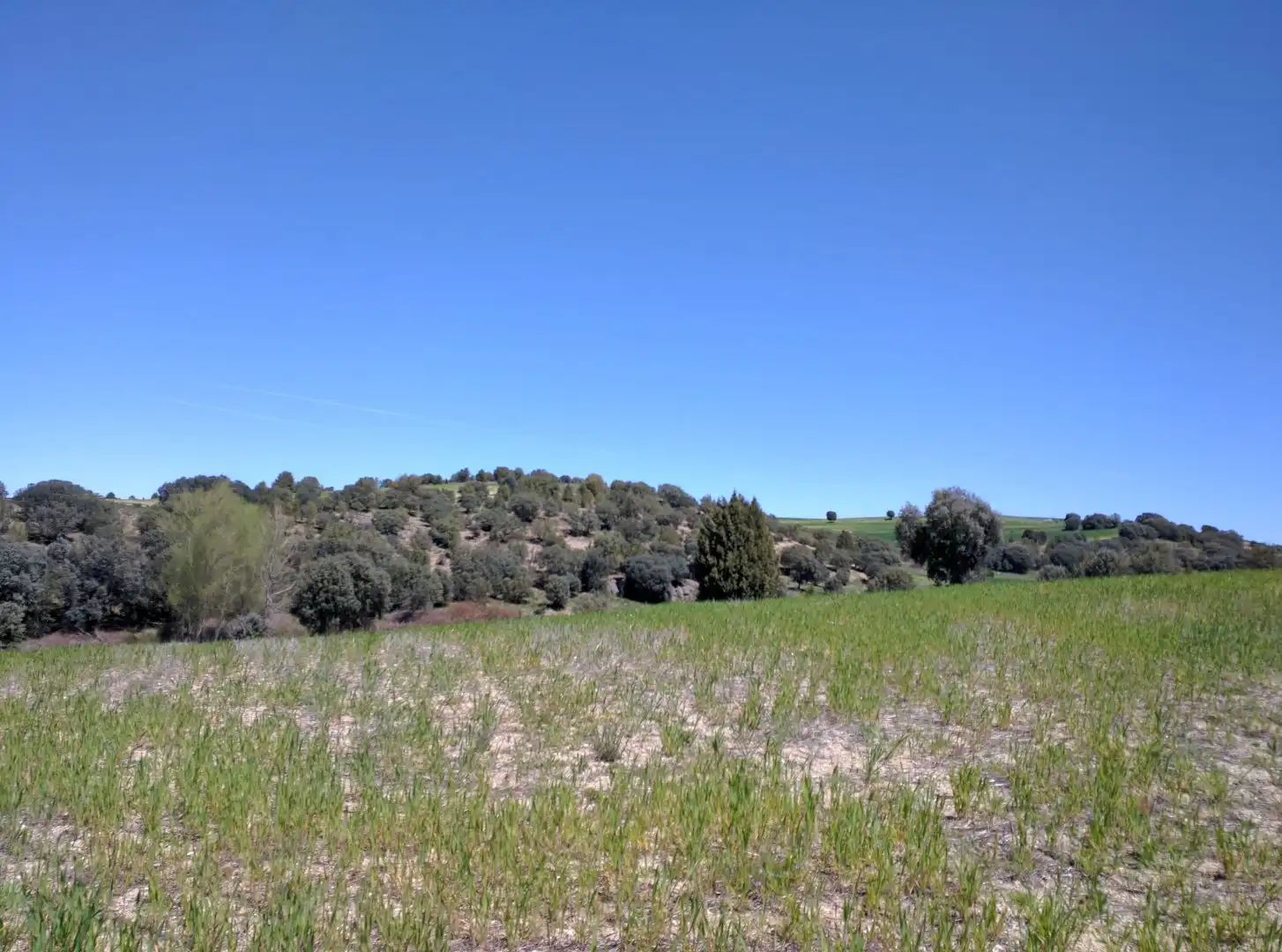 Residencial en venta en Turégano