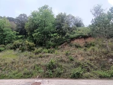 Terreni e lotti in vendita a CL SANT LLUIS