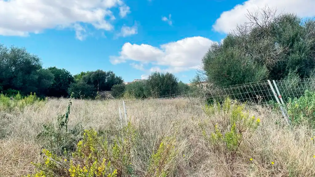 Terreno rustico in vendita a Campos poble, imagen 4
