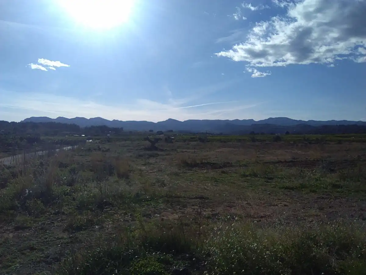 Terreno rústico en venta en Alfara de la Baronia, imagen 11