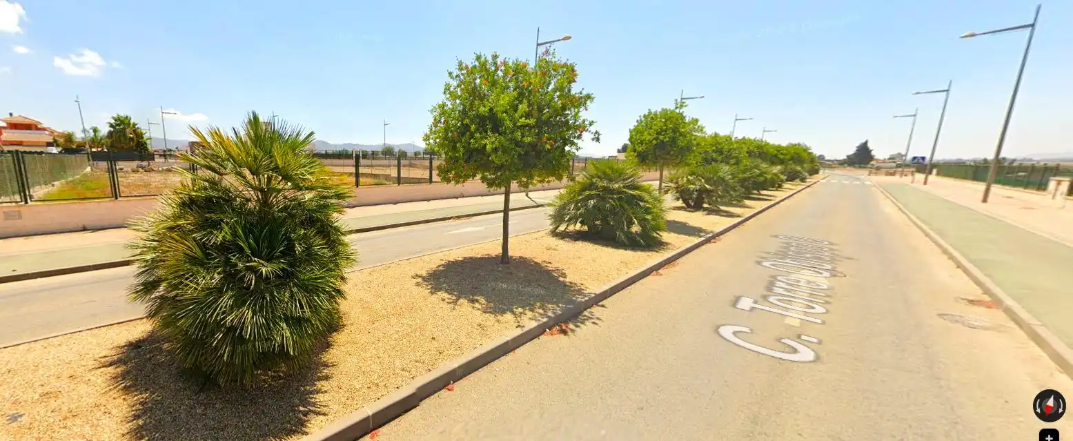 Terreny residencial en venda a Pedanías Sur, imagen 4
