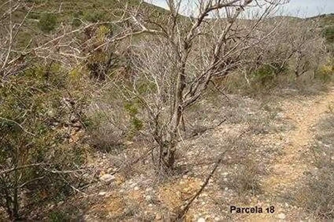 Terreno rustico in vendita a Cabanes, imagen 3
