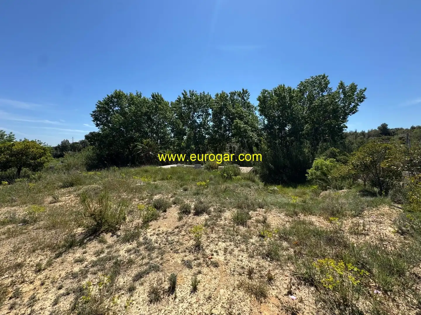 Terrain rustique à vendre à Los Felipes - Corral de Carmelo, imagen 10