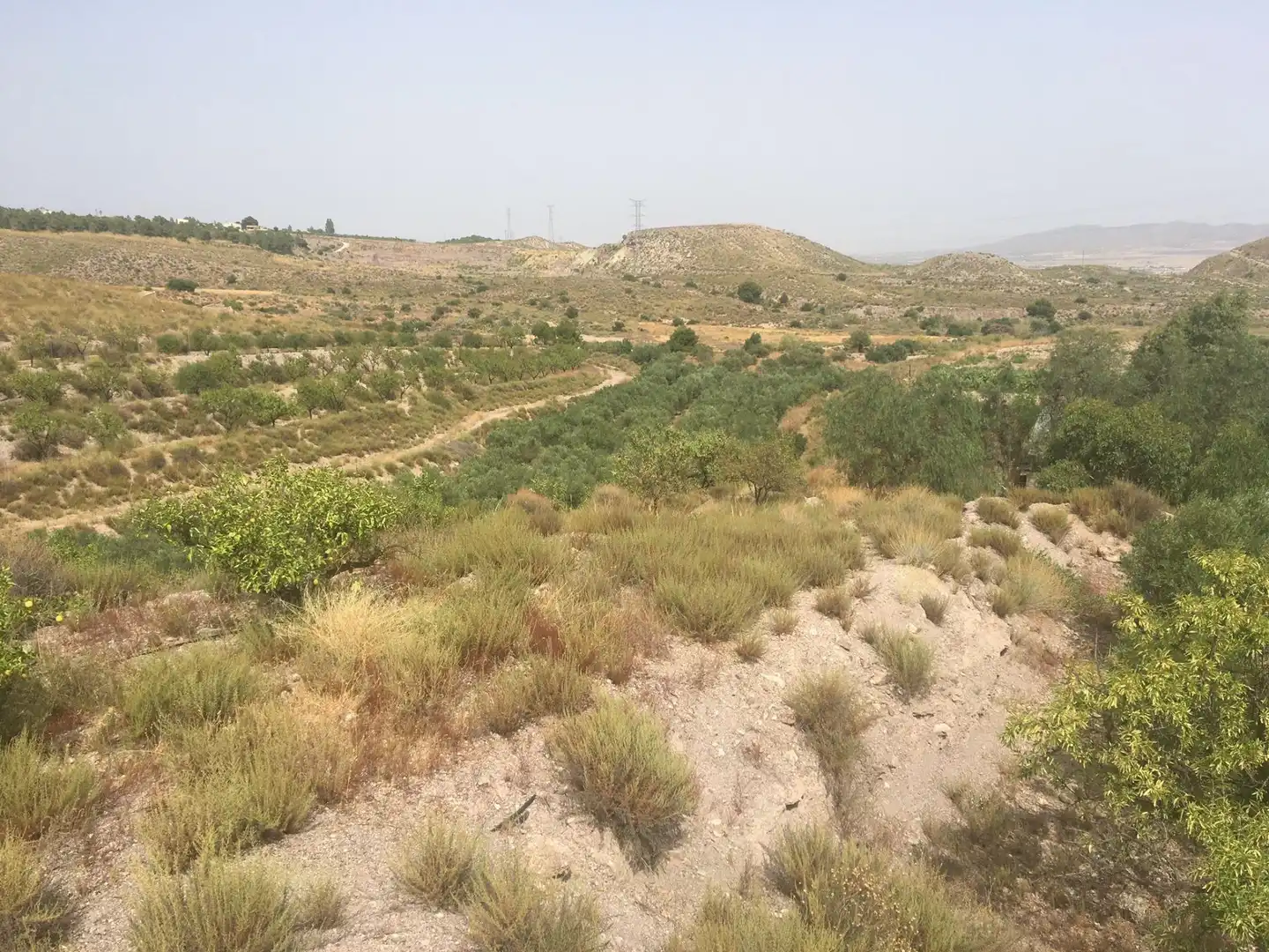 Country house zum Verkauf in Lorca mit Privatgarten und Schwimmbad