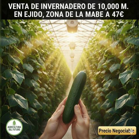 Terreno en Venta en Santo Domingo