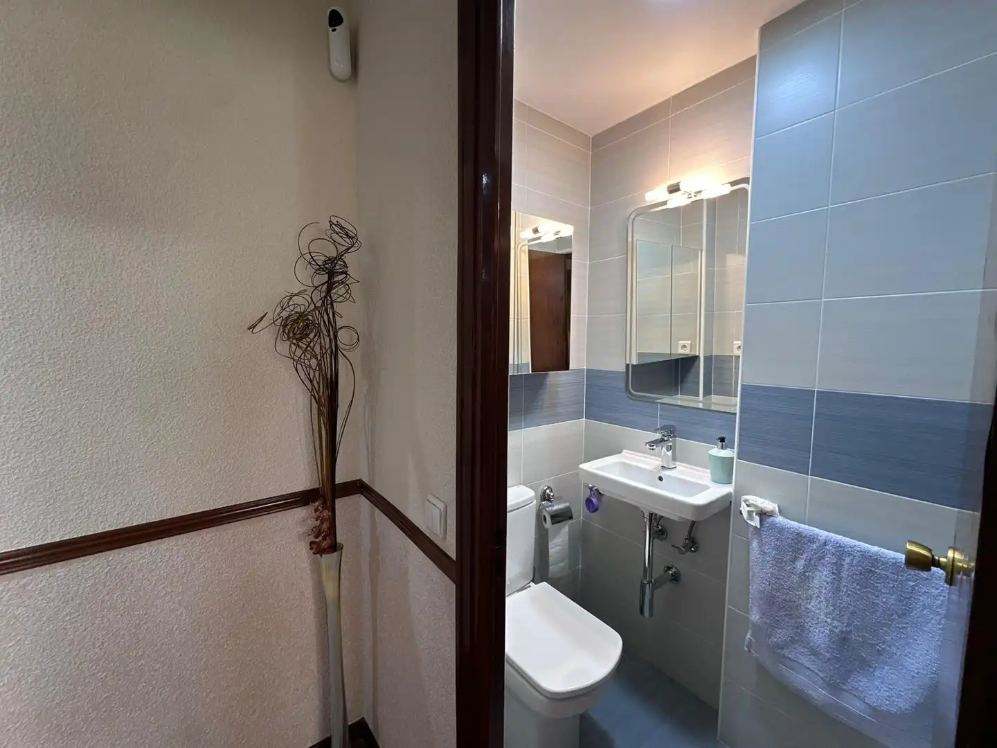Baño de Piso en venta en Madrid con Calefacción, Parquet y Terraza