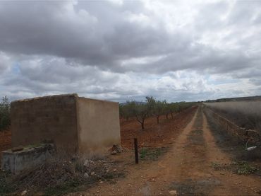 Terreno rustico in vendita a Yecla