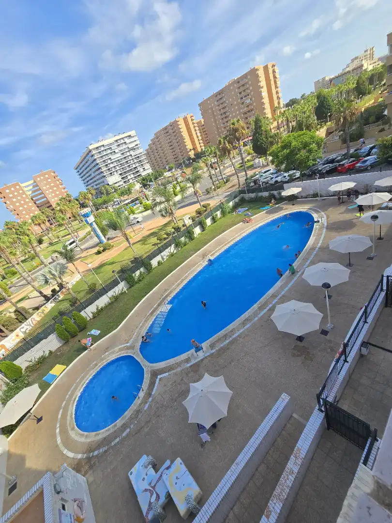 Pis amb piscina en venda a Avenida Central